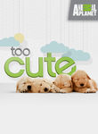 Too Cute! Poster