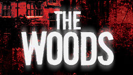 The Woods | filmes-netflix.blogspot.com.br