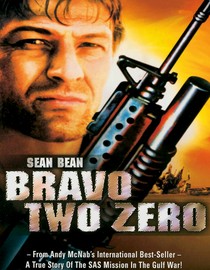 Bravo Two Zero