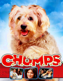 play video on Netflix