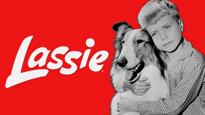 Lassie 1954 On Netflix Canada Check Worldwide Netflix Availability 