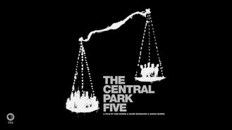Netflix box art for The Central Park Five