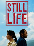 Still Life Poster