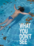 What You Don't See Poster