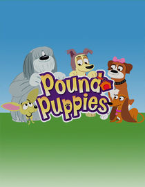 Pound Puppies: Season 2: No Dogs Allowed