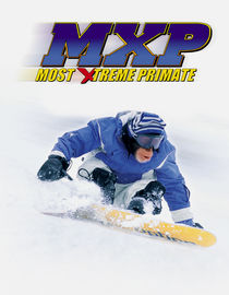play video on Netflix