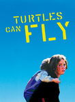 Turtles Can Fly Poster