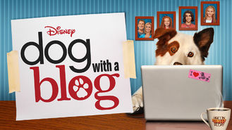 watch dog with a blog