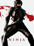 Ninja Poster