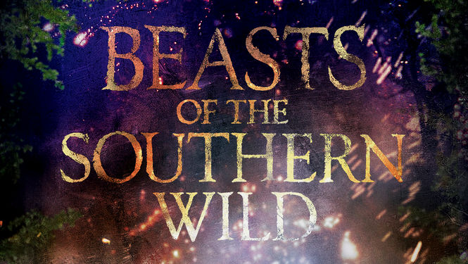 Beasts of the Southern Wild | filmes-netflix.blogspot.com