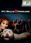 Pit Bulls & Parolees: Season 3 Poster