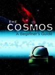 The Cosmos: A Beginner's Guide Poster