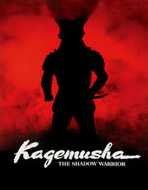 Box art for Kagemusha