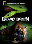 Deadly Dozen: Season 1 Poster