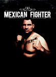 Mexican Fighter Poster