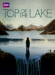Top of the Lake Poster