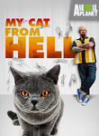 My cat hot sale from hell netflix