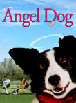 Angel Dog Poster