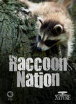 Nature: Raccoon Nation Poster