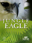 Nature: Jungle Eagle Poster