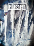 The Art of Flight (2011)