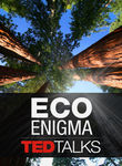 TEDTalks: Eco Enigma Poster