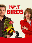 Love Birds Poster