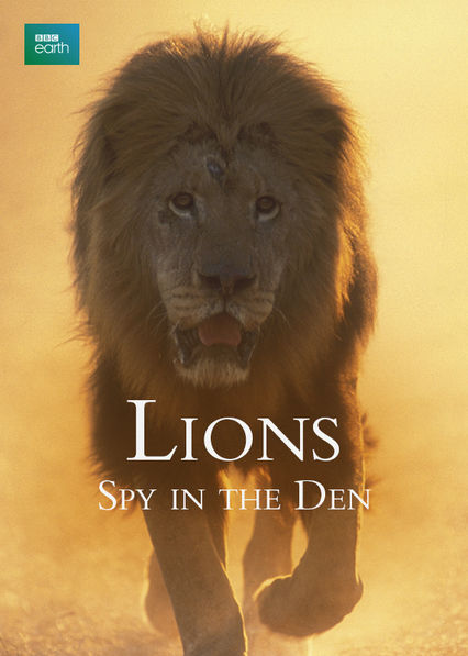 Lions: Spy in the Den