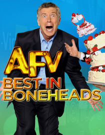 America's Funniest Home Videos: Best in Boneheads: Yankee Doodle Dorks