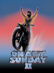 On Any Sunday II Poster