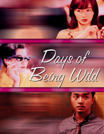 Days Of Being Wild