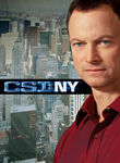 CSI: NY: Season 1 Poster