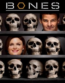 Bones: Season 1: The Woman in Limbo