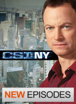 CSI: NY Poster