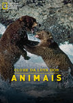 Clube da luta dos animais | filmes-netflix.blogspot.com