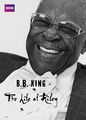 B.B. King: The Life of Riley | filmes-netflix.blogspot.com