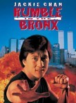 Rumble in the Bronx Poster