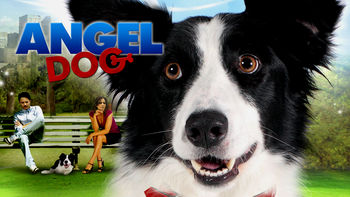 Netflix box art for Angel Dog