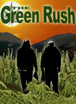 The Green Rush Poster