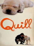 Quill: The Life of a Guide Dog Poster