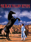 The Black Stallion Returns Poster