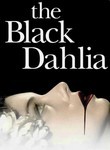 The Black Dahlia Poster