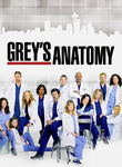 Grey's Anatomy: Season 5 (2008) [TV]