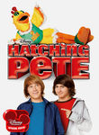 Hatching Pete Poster