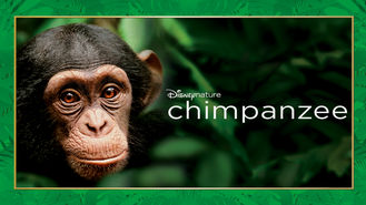 Netflix box art for Chimpanzee