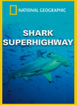 National Geographic: Shark Superhighway Poster