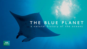 Netflix box art for Blue Planet: Natural History of the Oceans - Season 1