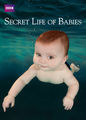 Secret Life of Babies | filmes-netflix.blogspot.com