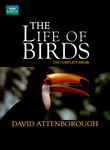 The Life of Birds Poster