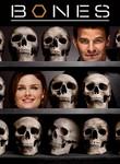 Bones: Season 6 Poster